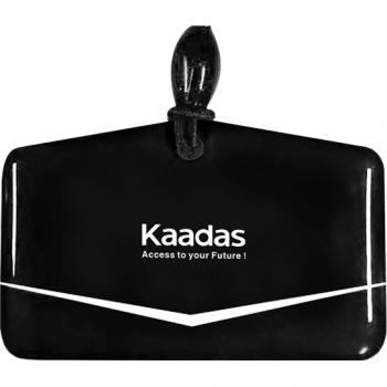 Карта доступа к замку Kaadas